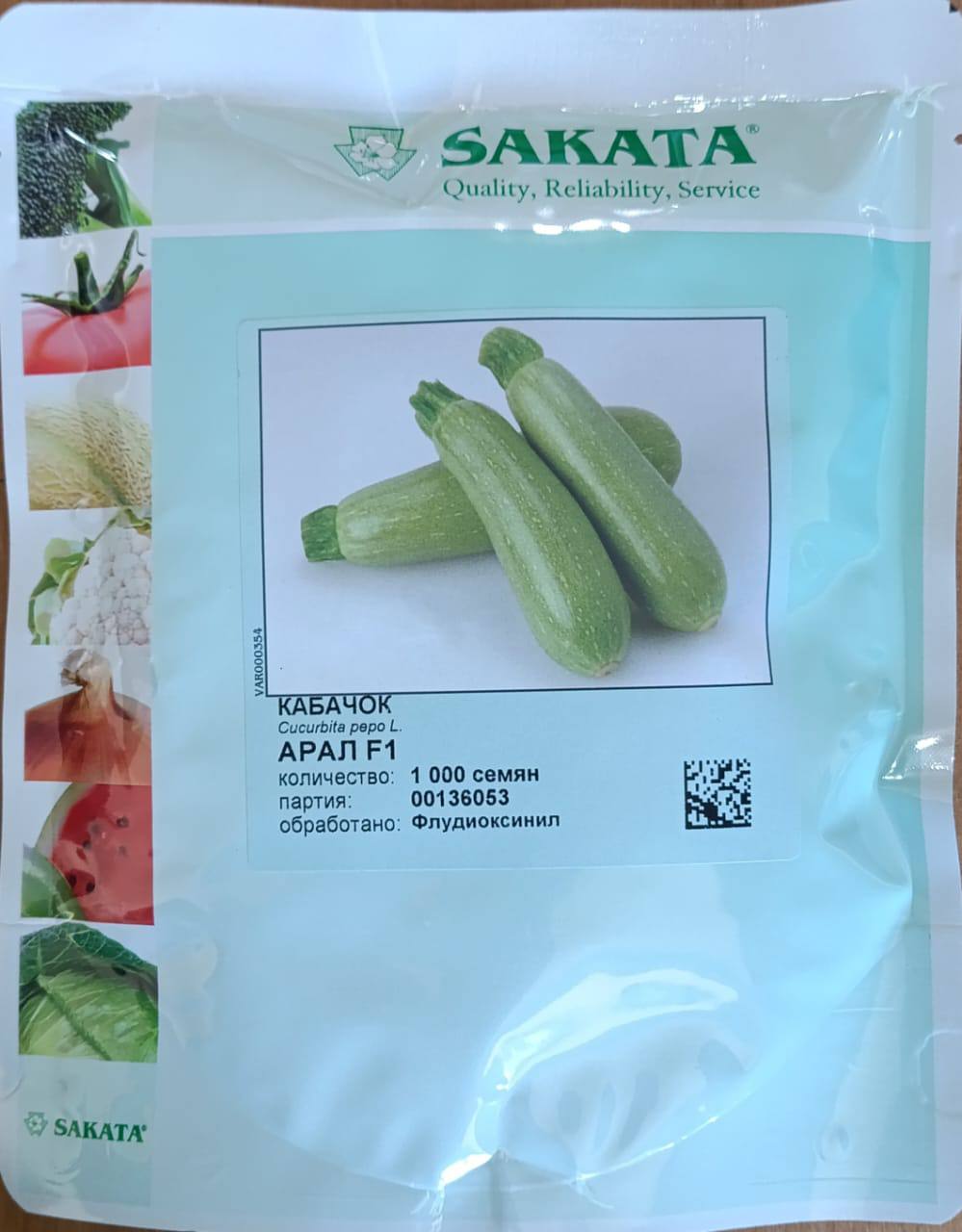 Кабачок Арал